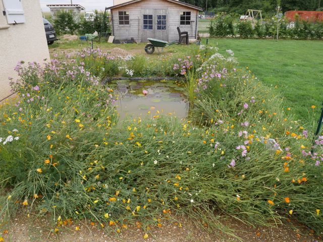 Le bassin du Normand Jacher10