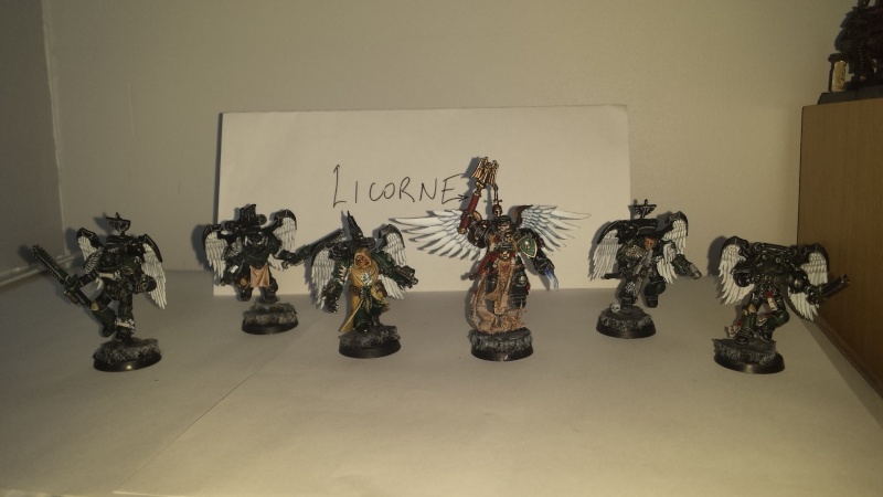 mes dark angels en construction... 20140104