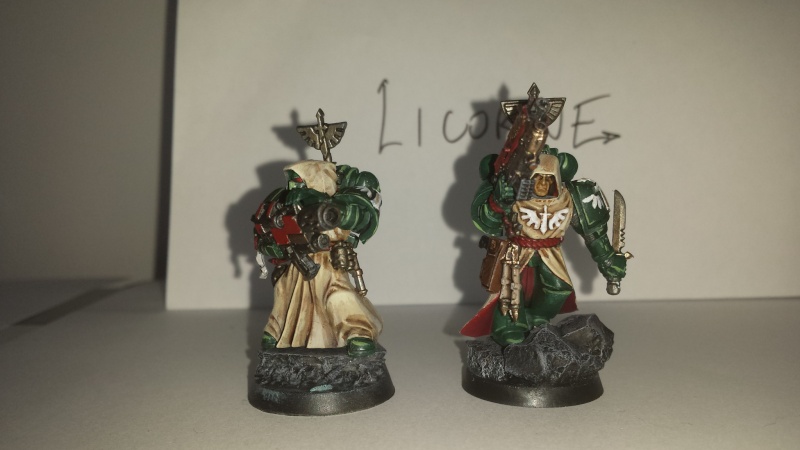 mes dark angels en construction... 20140757