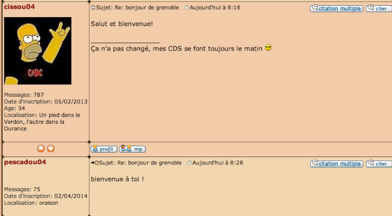 bonjour de grenoble Cea10
