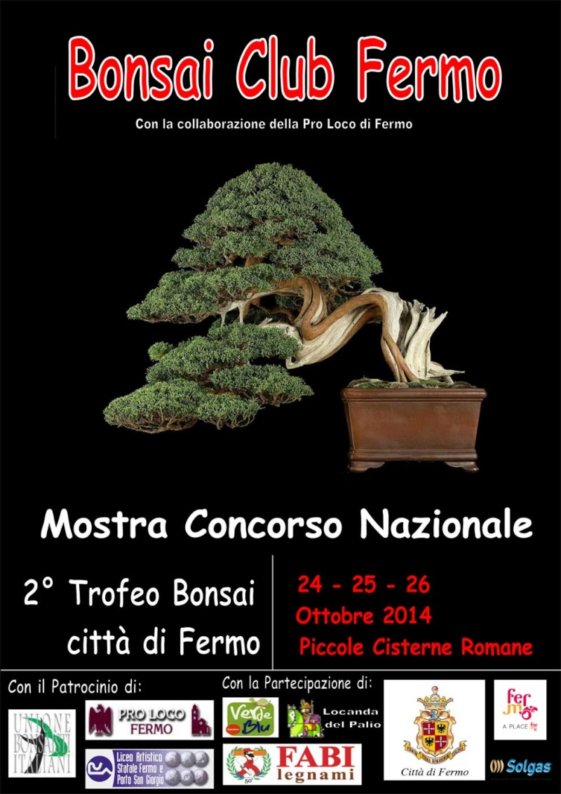 2° Trofeo Città di Fermo Trofeo10