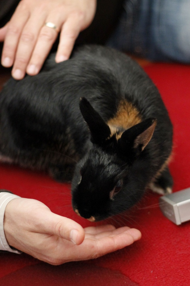 Fervex, un lapin qui vous veut du bien ! - Page 5 _mg_0821