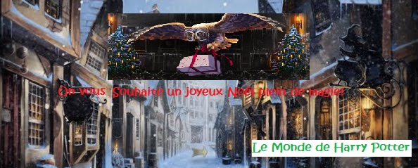 Image hébergée par servimg.com