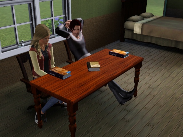 Sims Storys Screen23