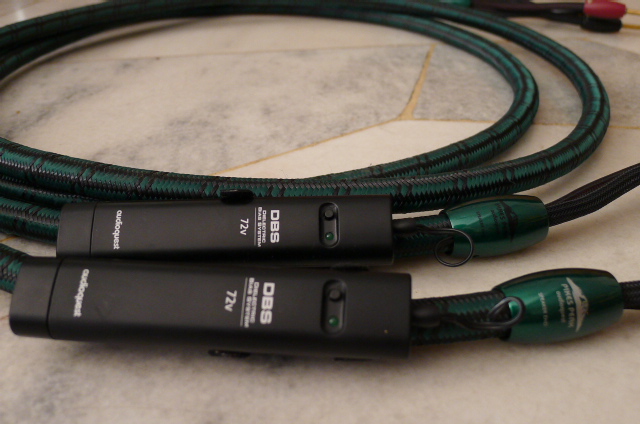 Audioquest Pikes Peak Speaker Cable-8ft pair (SOLD) P1090132