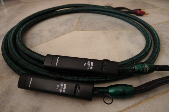 Audioquest Pikes Peak Speaker Cable-8ft pair (SOLD) P1090133
