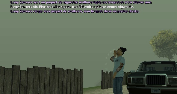 San Andreas Connection - l (The Beginning) - Page 13 210