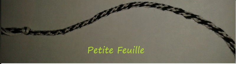 Petite Feuille's Gallery 2014-045