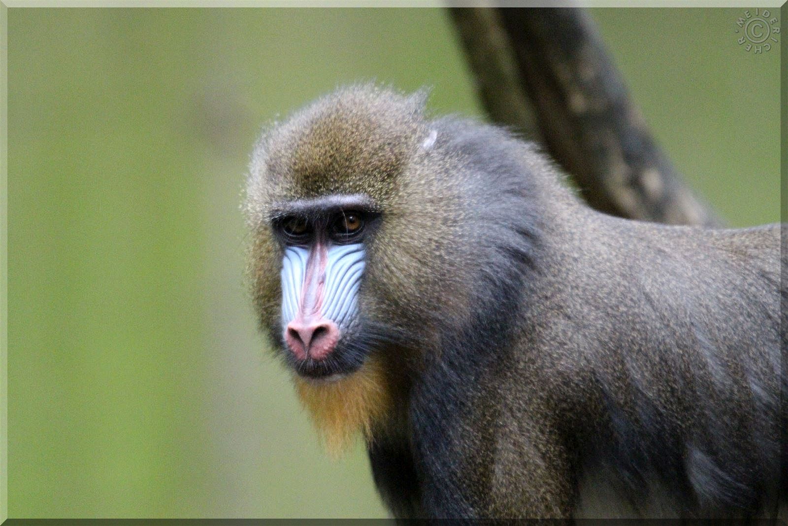 Zoo Duisburg Img_4225