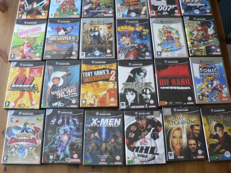 Estim Lot Gamecube P1110419