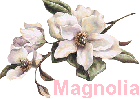 Orosco dei Fiori Segno Zodiacale del Mese Cancro (Dal 22 giugno al 22 luglio) Magnol11