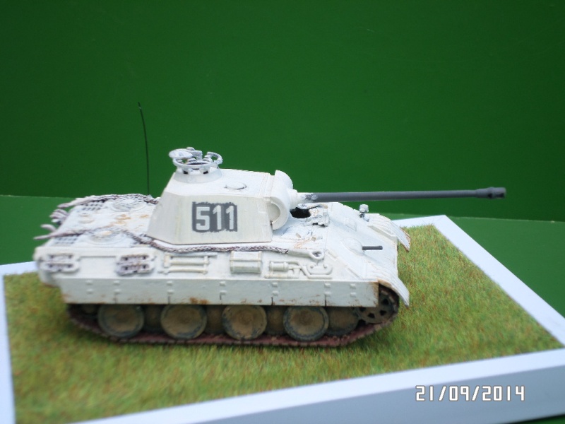 ( ESCI ) PANTHER Ausf A Sam_4125