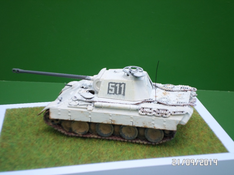 ( ESCI ) PANTHER Ausf A Sam_4127