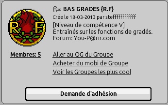 Faux badge Faut_b10