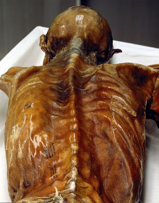 Descubren ADN no humano en la momia llamada el Hombre de Hielo (Ötzi) de 5.300 años de antigüedad 514