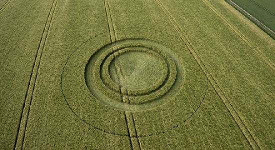 Crop Circles. Círculos de las Cosechas 2014 Cc6_110