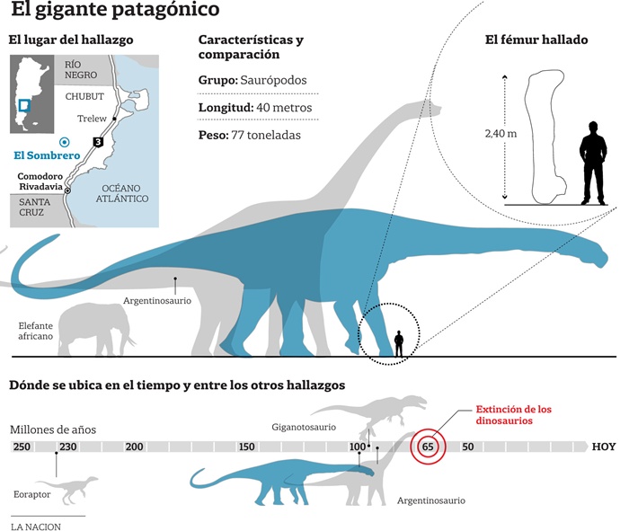 Paleontólogos argentinos aseguran haber descubierto el dinosaurio más grande del mundo Dinosa10