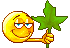 Bon Mercredi Leaf_c10