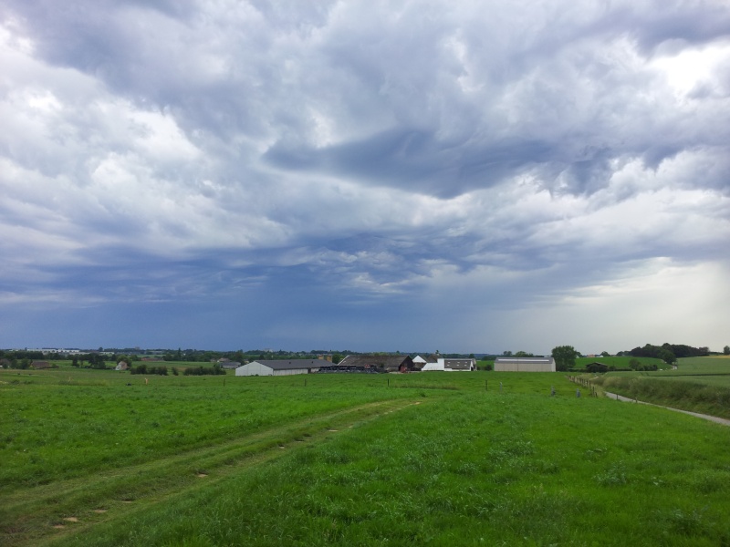Etrange ciel d'orage - Lundi 9 Juin à Baulers (asperatus undalatus) 20140636