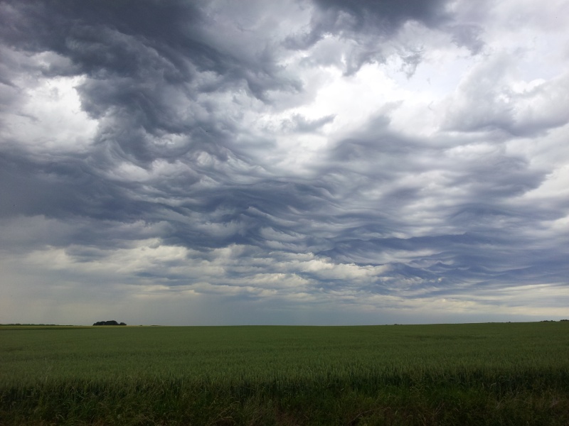 Etrange ciel d'orage - Lundi 9 Juin à Baulers (asperatus undalatus) 20140639