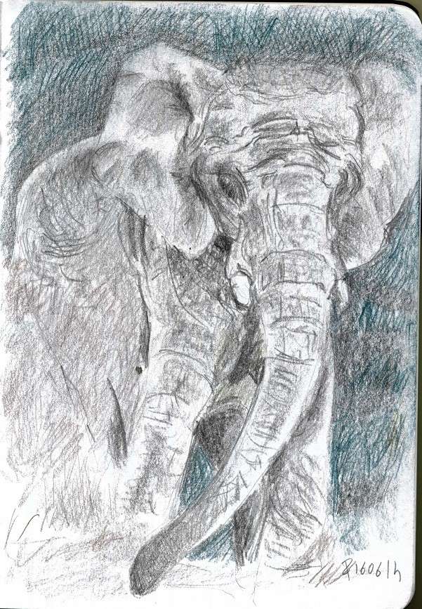 Tests de crayons Elepha10