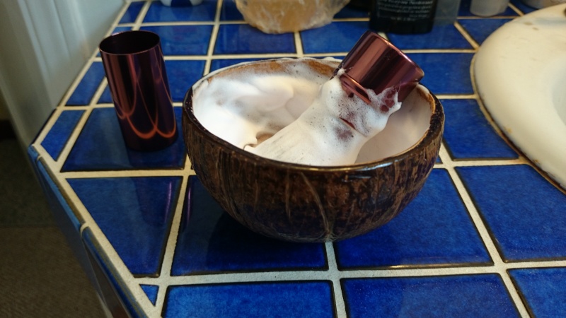 Premier bol fait maison dans une noix de coco! 2014-049