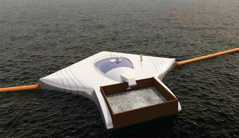 Nettoyage de printemps avec des drones Raie_m10