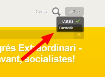 la pagina del psoe de cataluña funciona únicamente en catalan Cat10
