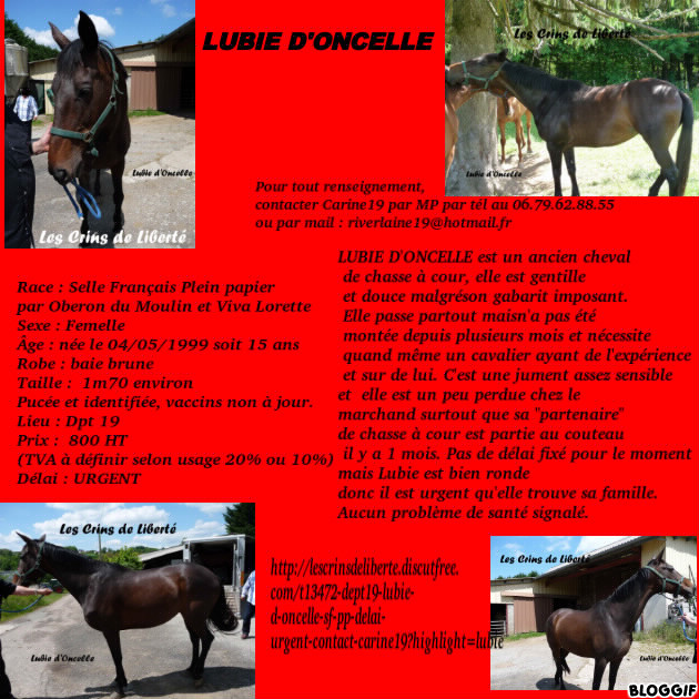 (Dept19) LUBIE D'ONCELLE, SF PP, réservée par Laetitia11 !!! (Aout 2014)  Lubie_11