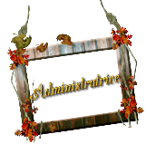 Admin Admin
