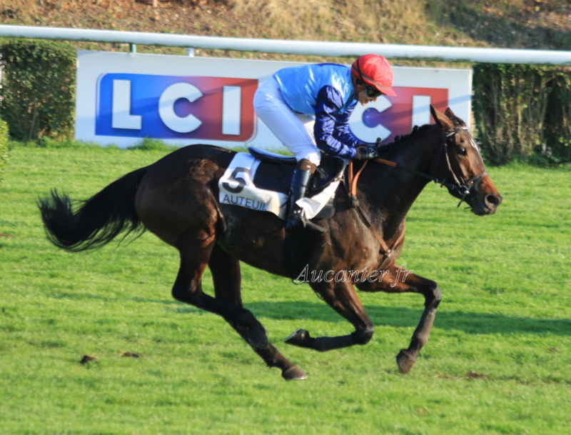 Photos Auteuil 17-11-2018 5j6a0523