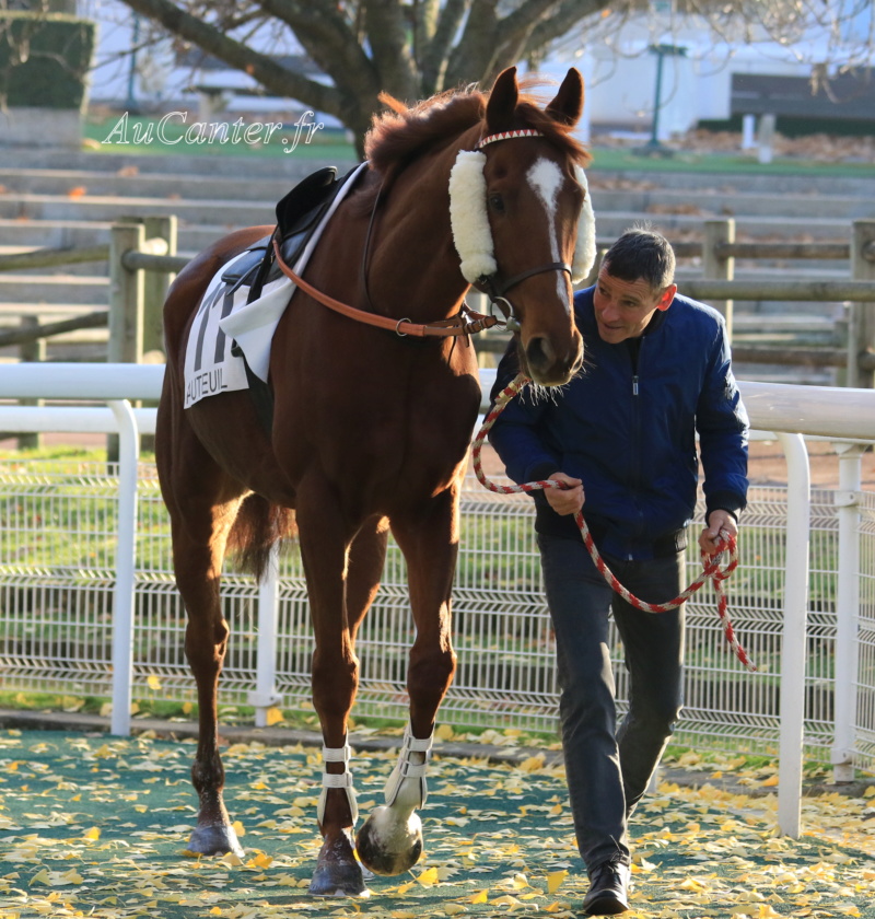 Photos Auteuil 17-11-2018 5j6a0612