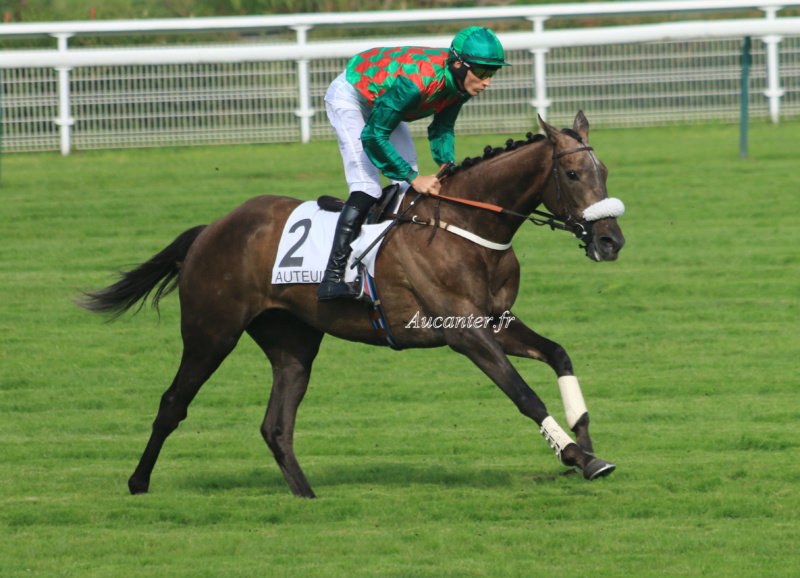 Photos Auteuil 9-06-2018 5j6a3320