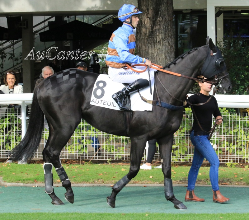 Photos Auteuil 28-09-2019 - Page 2 5j6a4250