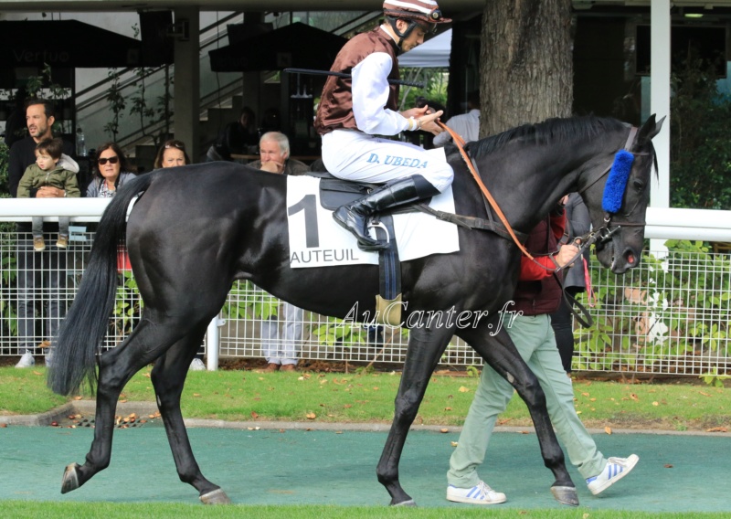 Photos Auteuil 28-09-2019 - Page 2 5j6a4251