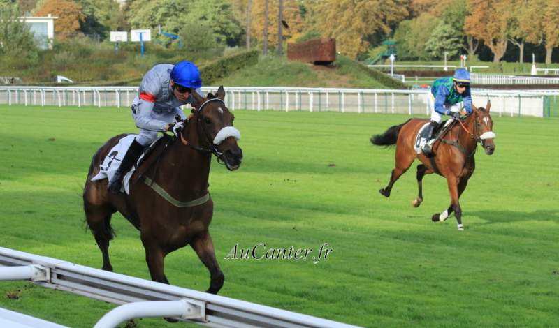 Photos Auteuil 28-09-2019 - Page 2 5j6a4448