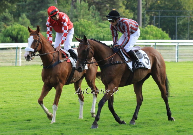 Photos Auteuil 28-09-2019 - Page 2 5j6a4452