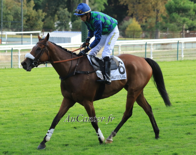 Photos Auteuil 28-09-2019 - Page 2 5j6a4453