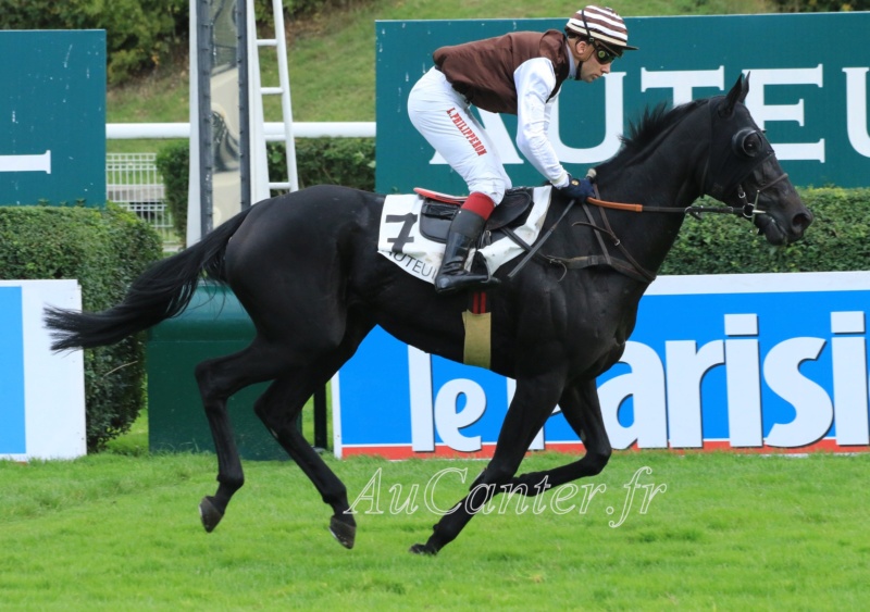 Photos Auteuil 13-10-2019 5j6a4673