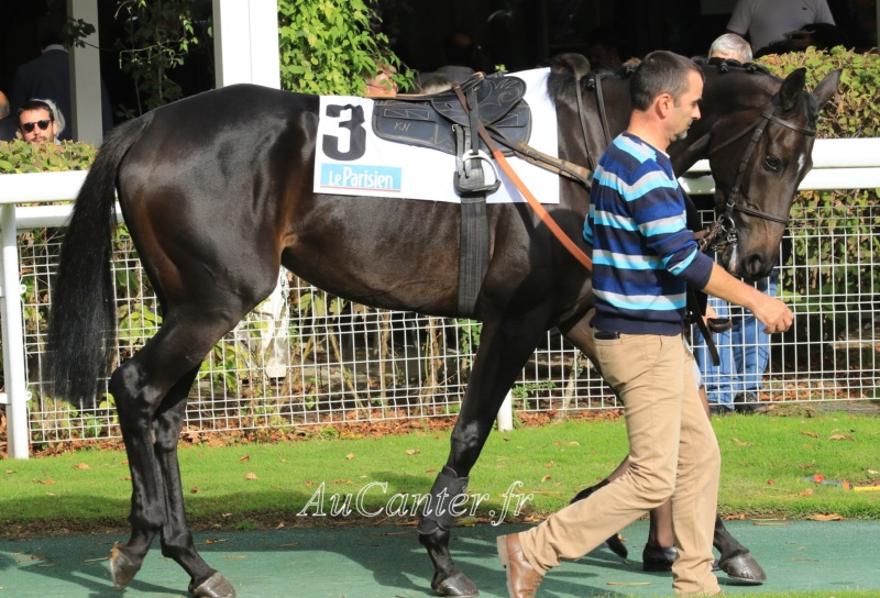 Photos Auteuil 13-10-2019 5j6a4754