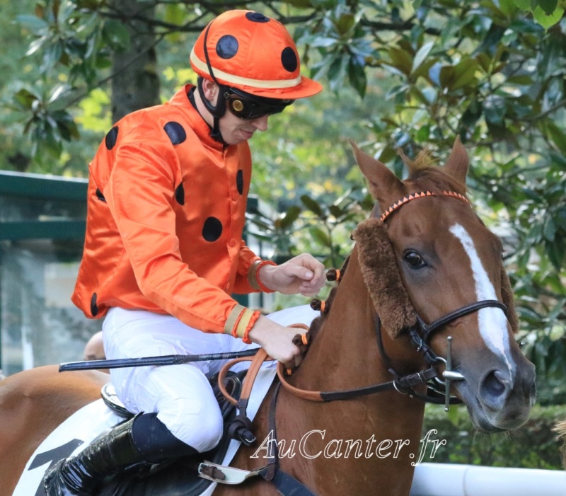 Photos Auteuil 13-10-2019 5j6a5032