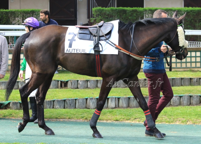 Photos Auteuil 6-04-2019 - Page 2 5j6a5224