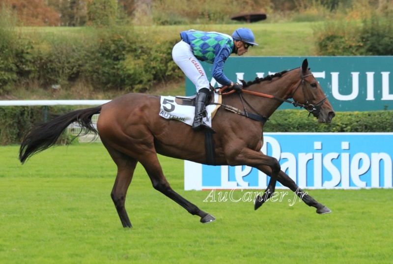 Photos Auteuil 13-10-2019 - Page 2 5j6a5237