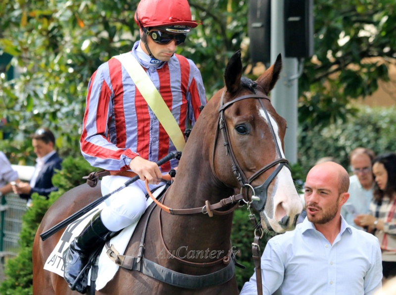 Photos Auteuil 14-10-2018 5j6a7415