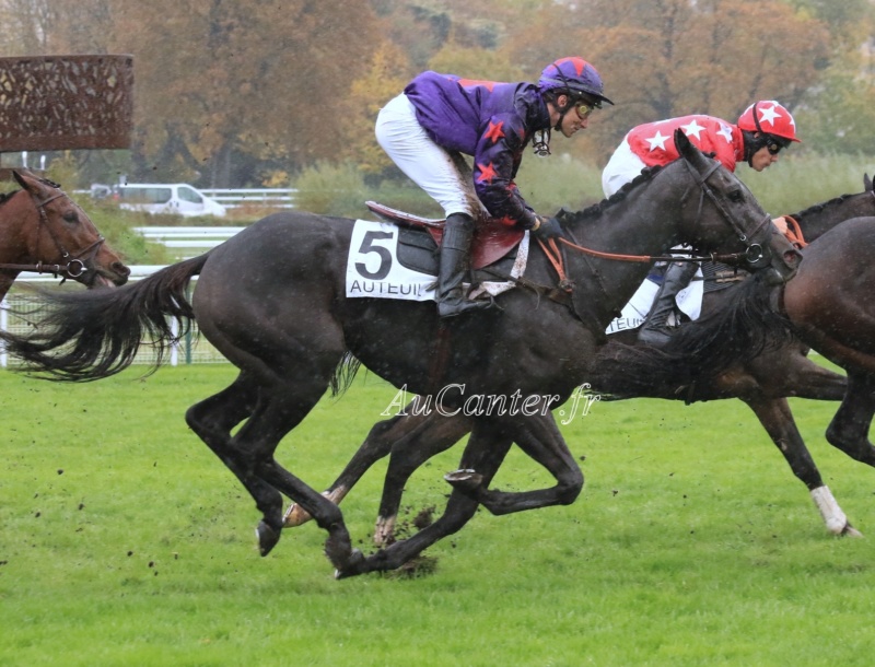 Photos Auteuil 3-11-2019 5j6a7443