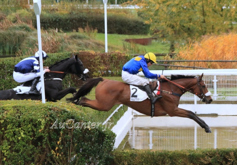 Photos Auteuil 3-11-2019 5j6a7458