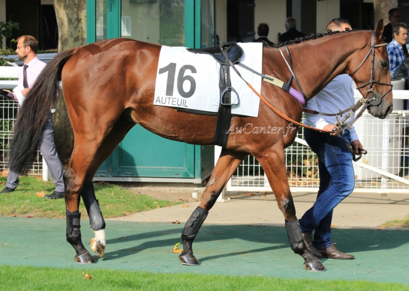 Photos Auteuil 14-10-2018 5j6a7618