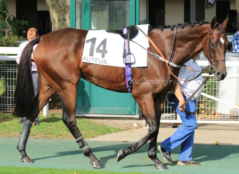 Photos Auteuil 14-10-2018 5j6a7623