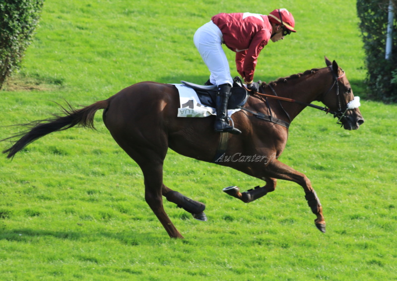 Photos Auteuil 14-10-2018 5j6a7724