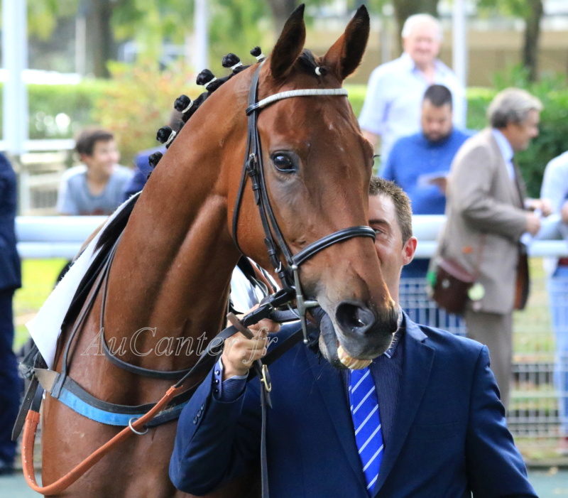 Photos Auteuil 14-10-2018 5j6a7730